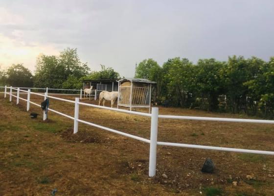 ranch_3