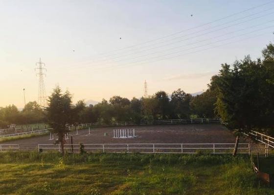 ranch_1
