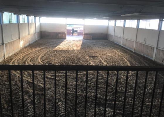 ranch_9